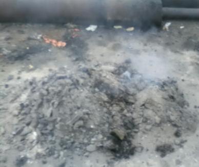 Firmă de pe Calea Borşului din Oradea, amendată pentru poluare: 20.000 de lei, după ce muncitorii au ars gunoaie în curte! (FOTO)