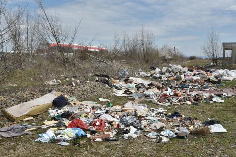 Garda de Mediu Bihor: Cele mai mari probleme de mediu rămân depozitarea ilegală a deșeurilor și incendierea lor
