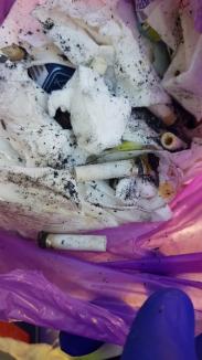 Cum se aruncă gunoaiele în Oradea: 70% din pubelele maro şi o treime din sacii galbeni au deşeuri amestecate (FOTO)