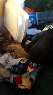 Cum se aruncă gunoaiele în Oradea: 70% din pubelele maro şi o treime din sacii galbeni au deşeuri amestecate (FOTO)