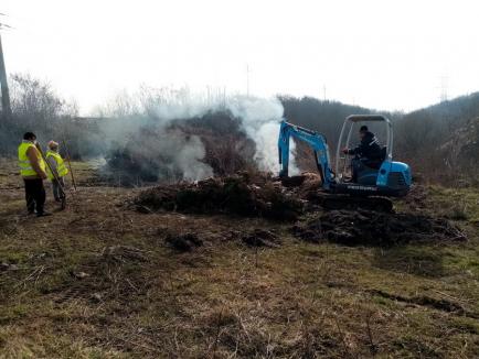 Cum face curat o primărie din Bihor: dă foc gunoaielor aruncate ilegal sau le aruncă într-o vale! Amendă usturătoare dată de comisarii de mediu (FOTO)