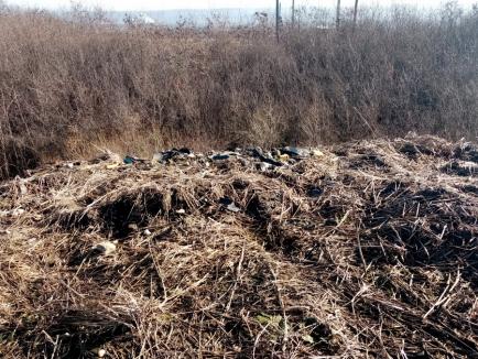Cum face curat o primărie din Bihor: dă foc gunoaielor aruncate ilegal sau le aruncă într-o vale! Amendă usturătoare dată de comisarii de mediu (FOTO)