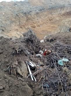 Primărie din Bihor, prinsă în flagrant când îngropa gunoaie lângă o arie protejată. Garda de Mediu îi confiscă utilajul! (FOTO/VIDEO)