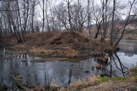 Maluri... nespălate: Malurile Crişului Repede în Oradea sunt ticsite de gunoaie (FOTO)