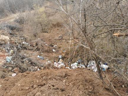 Gunoiul sub preș: În loc să strângă deșeurile, primarul din Vad le-a acoperit cu pământ (FOTO)