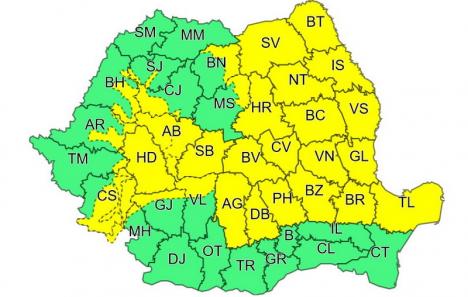 COD GALBEN de furtuni în zona de munte a judeţului Bihor!