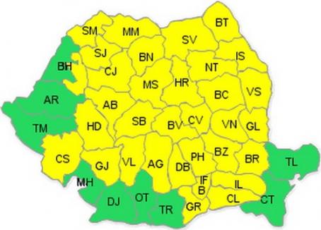 Cod galben de furtuni, inclusiv în Bihor