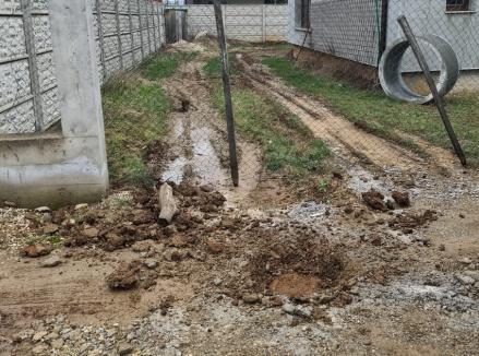 Apă 'înecată': Zeci de hidranţi din Oradea au fost îngropaţi de constructori, îngreunând munca pompierilor (FOTO)