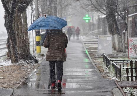 Vreme aprigă în toată ţara: vânt, zăpadă, ploi, lapoviţă şi ninsoare în următoarele zile