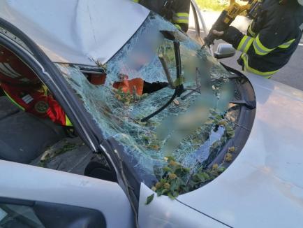 Incident groaznic în Bihor. O creangă a căzut peste o mașină aflată în mers și s-a înfipt într-o tânără șoferiță