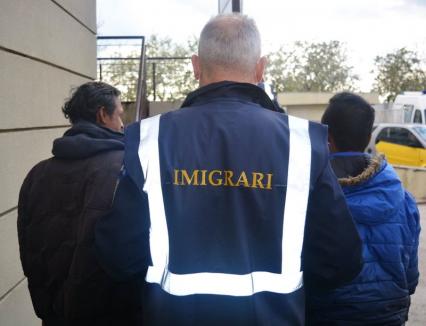 Anul trecut, Serviciul pentru Imigrări Bihor a emis 10 decizii de returnare a unor străini aflaţi ilegal în România