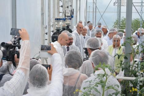 Investiţie de peste 700.000 euro. Prima seră hidroponică de roşii cherry din Bihor a fost inaugurată la Toboliu (FOTO)
