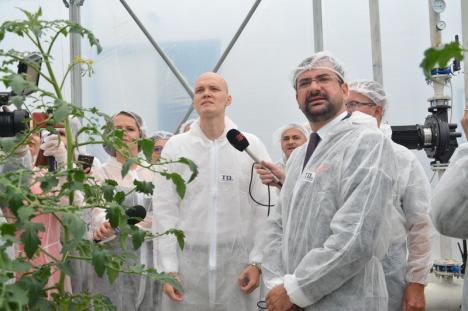 Cherry de Toboliu: Povestea studentului orădean care a pus pe picioare prima seră hidroponică din Bihor (FOTO)