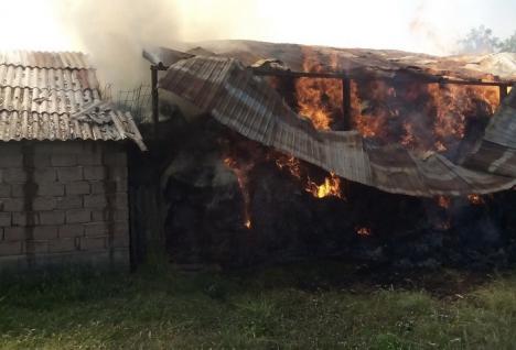 Şopron distrus de o mână criminală, în Ţeţchea: Au ars 15 tone de fân şi 5 metri cubi de lemne (FOTO)