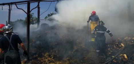 Şopron distrus de o mână criminală, în Ţeţchea: Au ars 15 tone de fân şi 5 metri cubi de lemne (FOTO)