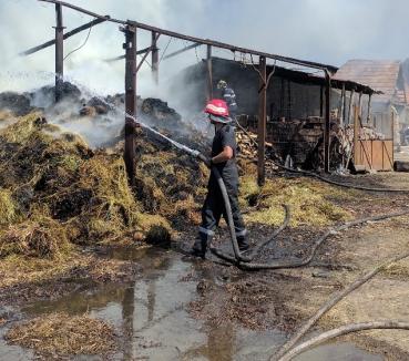 Şopron distrus de o mână criminală, în Ţeţchea: Au ars 15 tone de fân şi 5 metri cubi de lemne (FOTO)