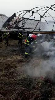 Cinci incendii, în doar câteva ore în Bihor (FOTO / VIDEO)