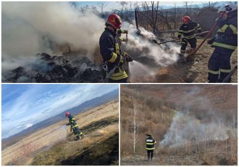 ISU Crișana: Patru incendii de vegetație uscată s-au produs în Bihor, în mai puțin de 4 ore! (FOTO)