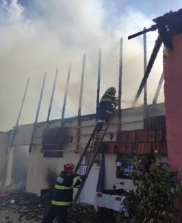 O casă și un șopron din Bihor s-au făcut scrum, în urma unor incendii. Trei porci au ars de vii (FOTO)