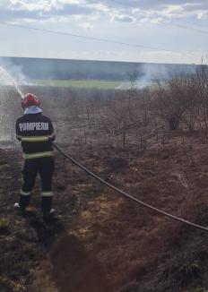 Nu mai aprindeți resturile de vegetație! Şase incendii într-o singură zi în Bihor, inclusiv într-un cimitir (FOTO)