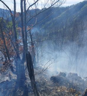 Nu mai aprindeți resturile de vegetație! Şase incendii într-o singură zi în Bihor, inclusiv într-un cimitir (FOTO)