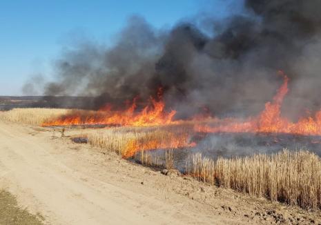 Incendii de vegetație în Bihor. Pompierii reamintesc că arderea miriștilor este interzisă