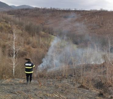 ISU Crișana: Patru incendii de vegetație uscată s-au produs în Bihor, în mai puțin de 4 ore! (FOTO)