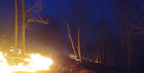 13 incendii de vegetaţie în Bihor, în doar 14 ore. Au ars peste 100 de hectare (FOTO/VIDEO)