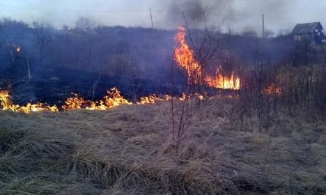 Deal în flăcări: 100 de hectare de teren au ars, lângă Beiuş (FOTO/VIDEO)