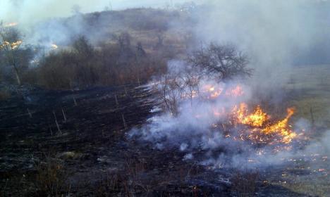 Deal în flăcări: 100 de hectare de teren au ars, lângă Beiuş (FOTO/VIDEO)