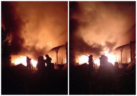 Incendiu în Oradea: N-au stins jarul după ce au făcut grătare în curte