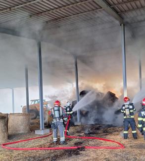 Incendiu violent la o fermă din Bihor, din cauza unor... plante furajere! (FOTO)