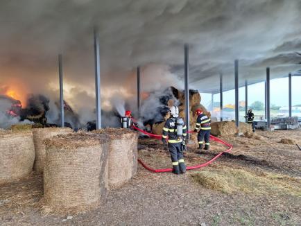 Incendiu violent la o fermă din Bihor, din cauza unor... plante furajere! (FOTO)