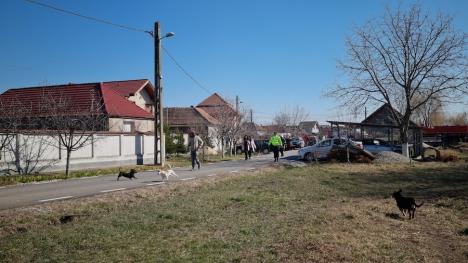 Incendiu violent la o casă din Sântandrei (FOTO / VIDEO)