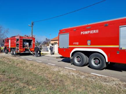 Incendiu violent la o casă din Sântandrei (FOTO / VIDEO)