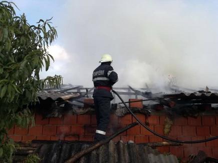 Incendiu în Albiş: 9 purcei au ars de vii, după ce flăcările au cuprins un adăpost de animale (FOTO)