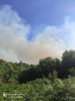 Focul continuă să facă ravagii în Parcul Natural Apuseni. Au ars peste 110 hectare de păşune împădurită pe Valea Aleului (VIDEO)
