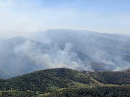 Focul continuă să facă ravagii în Parcul Natural Apuseni. Au ars peste 110 hectare de păşune împădurită pe Valea Aleului (VIDEO)
