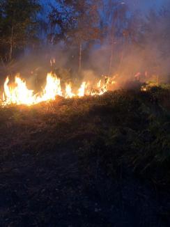 A ars Valea Aleului, din munții Apuseni. Pompierii s-au luptat cu flăcările timp de 10 ore (FOTO/VIDEO)