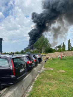 Incendiu puternic în Oradea, la o firmă de pe Calea Borșului (FOTO / VIDEO)