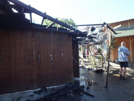 Băile Felix sub flăcări: Un incendiu provocat intenţionat a mistuit bazarul din centrul staţiunii (FOTO/VIDEO)