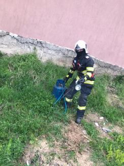 Incendiu violent într-o gospodărie din Bihor. Flăcările s-au extins şi la casa vecină (VIDEO)