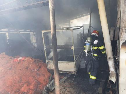 IMAGINI de la incendiul din Beiuş. Au ars 10 tone de azot, 3 tone de nitrocalcar şi 60 de anvelope, la un depozit din centrul municipiului