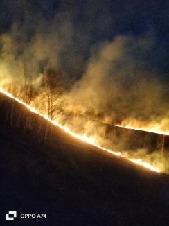 Incendiu masiv de vegetație în Bihor. Focul riscă să ajungă la o pădure din apropiere (FOTO/VIDEO)