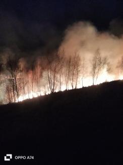 Incendiu masiv de vegetație în Bihor. Focul riscă să ajungă la o pădure din apropiere (FOTO/VIDEO)