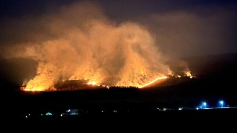 Incendiu masiv de vegetație în Bihor. Focul riscă să ajungă la o pădure din apropiere (FOTO/VIDEO)