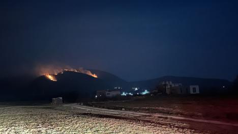 Incendiu masiv de vegetație în Bihor. Focul riscă să ajungă la o pădure din apropiere (FOTO/VIDEO)