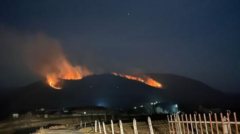 Incendiu masiv de vegetație în Bihor. Focul riscă să ajungă la o pădure din apropiere (FOTO/VIDEO)