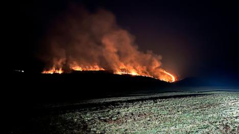 Incendiu masiv de vegetație în Bihor. Focul riscă să ajungă la o pădure din apropiere (FOTO/VIDEO)