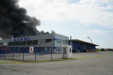 Prăpăd de la scântei: Detaliile incendiului care a mistuit depozitele companiilor Cargus şi Black Sea din Oradea. Cine e vinovatul? (FOTO/VIDEO)